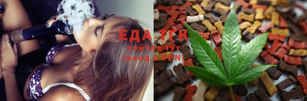 гидра Абаза