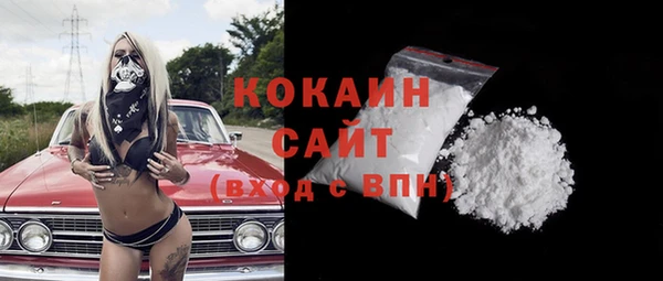 гидра Абаза