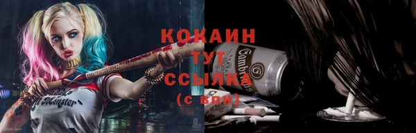 гидра Абаза