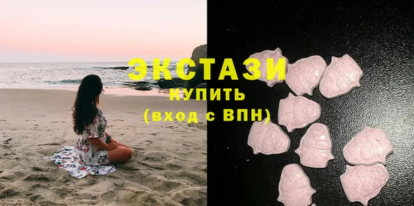 гидра Абаза