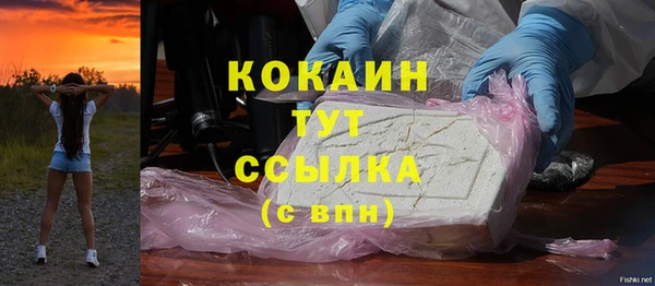 гидра Абаза