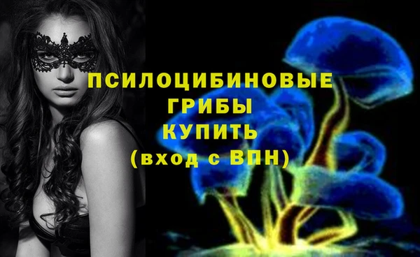 гидра Абаза