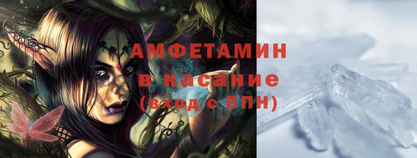 гидра Абаза
