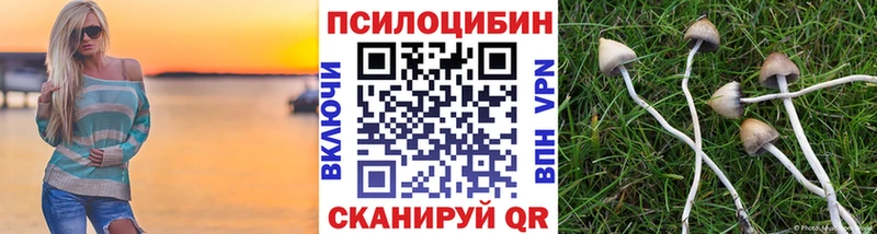 Галлюциногенные грибы мицелий  Нерчинск 